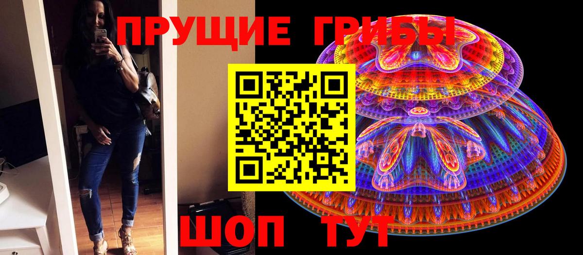 Псилоцибиновые грибы Psilocybe Ханты-Мансийск