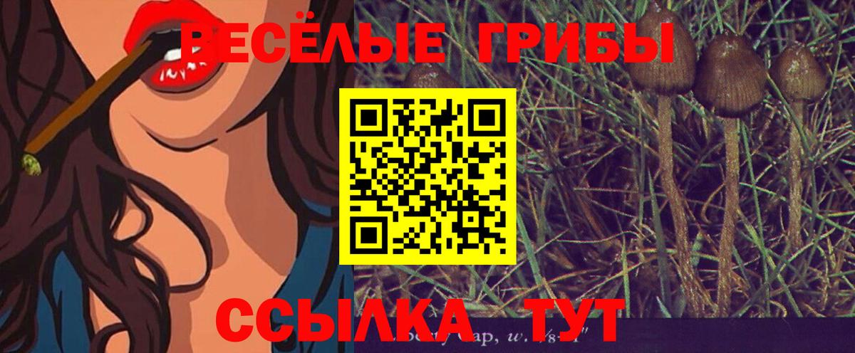 Галлюциногенные грибы прущие грибы  Ханты-Мансийск 